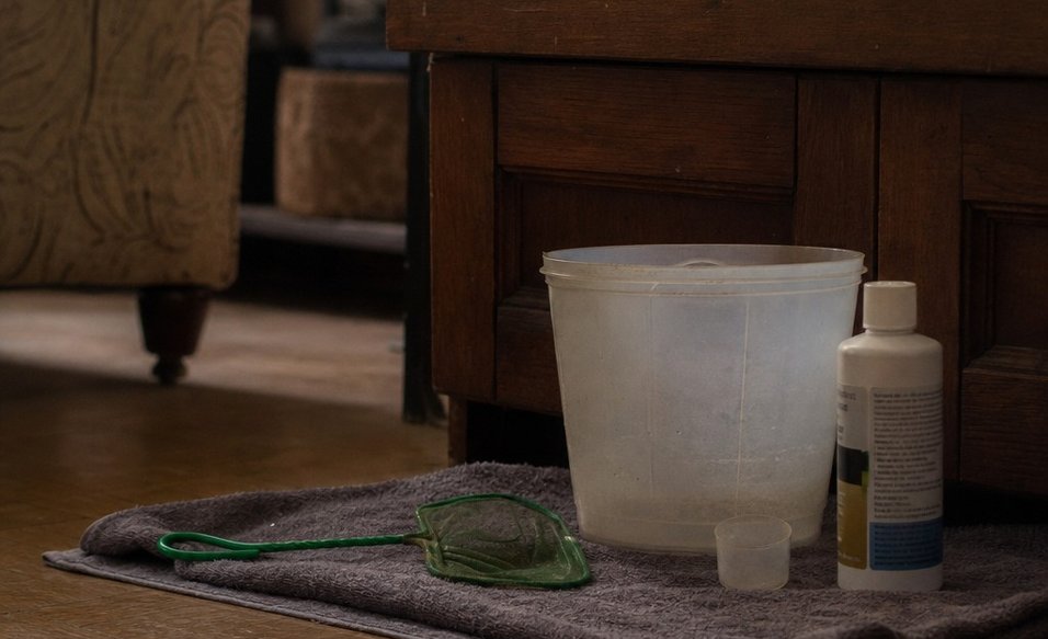 A small aquarium net and a bucket on a folded towel beside a fish tank, ready for acclimation