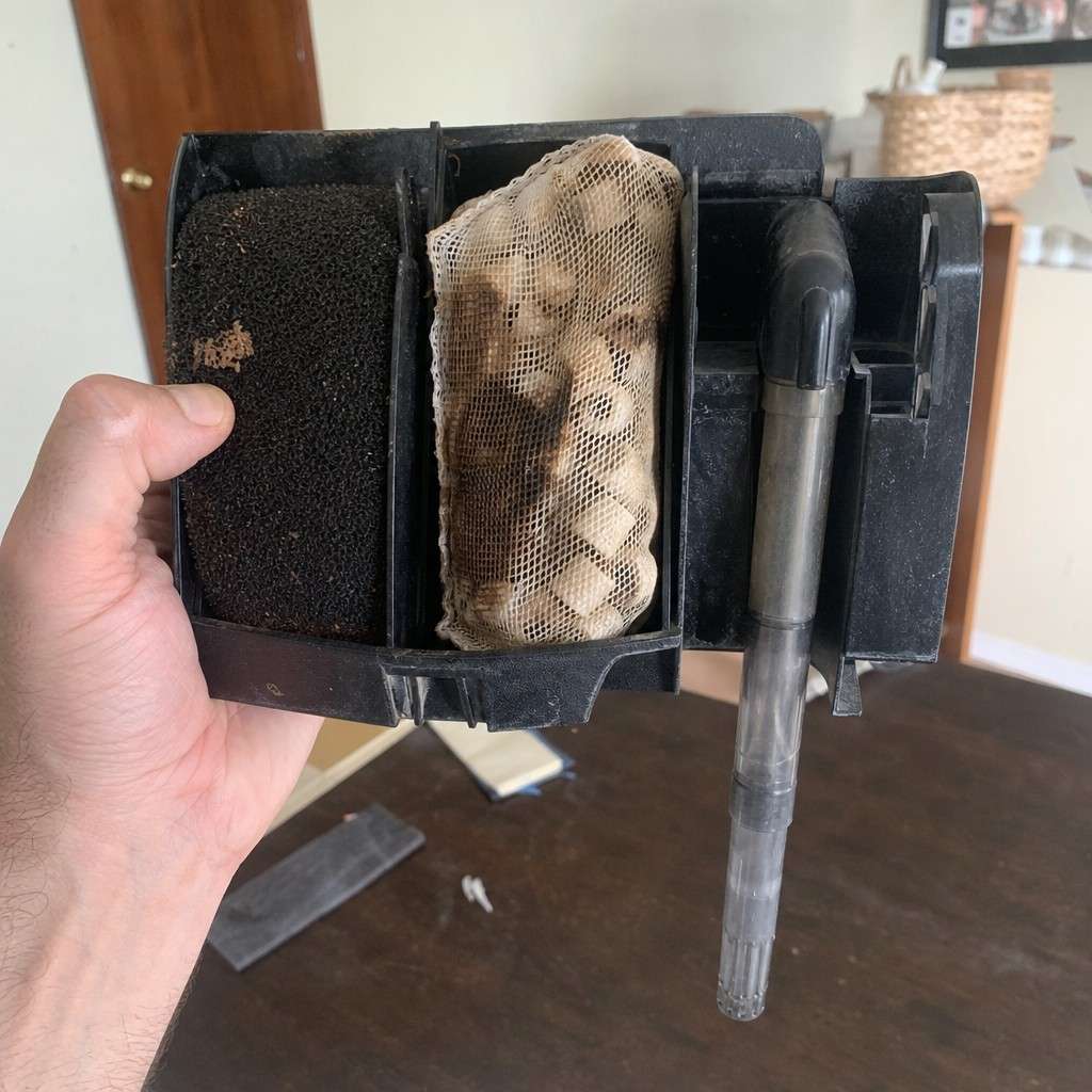 The inside of a hang-on-back filter showing sponge and ceramic media, lifted out for a look
