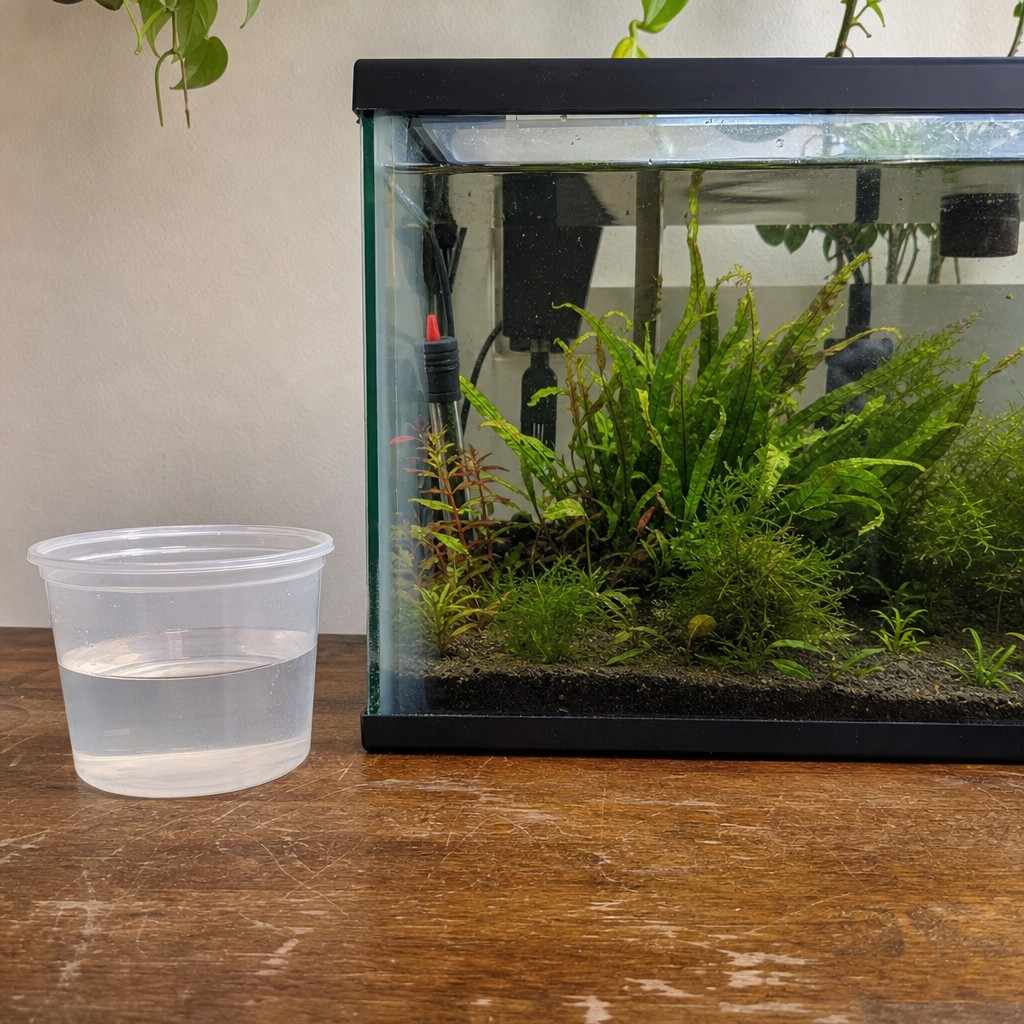 A tiny plastic cup beside a proper small planted aquarium on a table, showing the contrast in scale