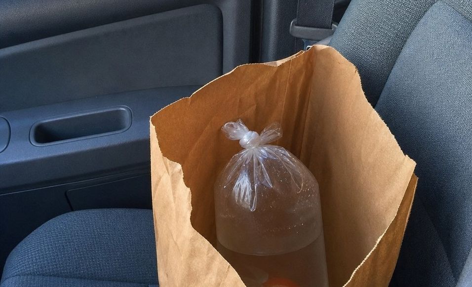 A knotted pet-store fish bag inside a paper bag on a car seat on the way home