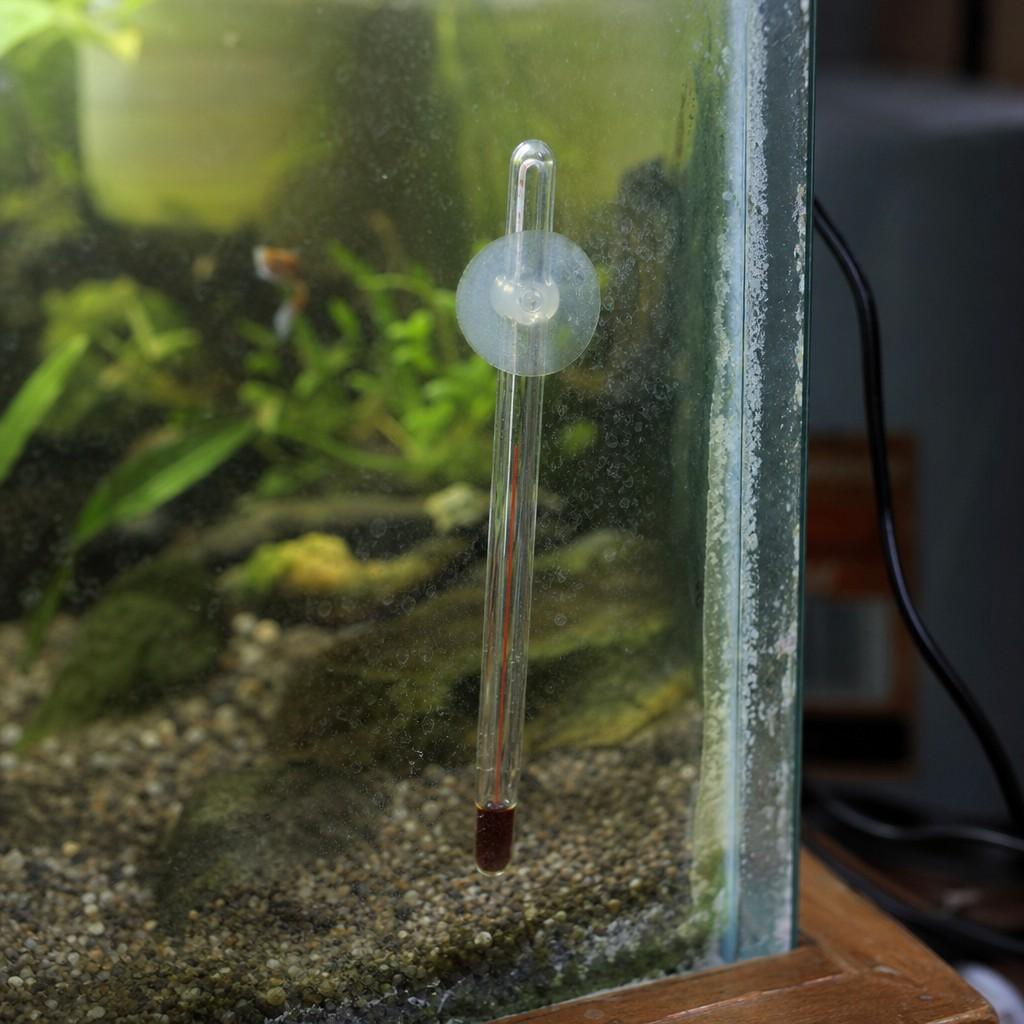 Close-up of a glass thermometer attached inside an aquarium with green plants softly out of focus behind it