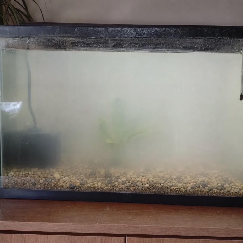 Close view through the front glass of an aquarium showing white hazy water, gravel softly obscured