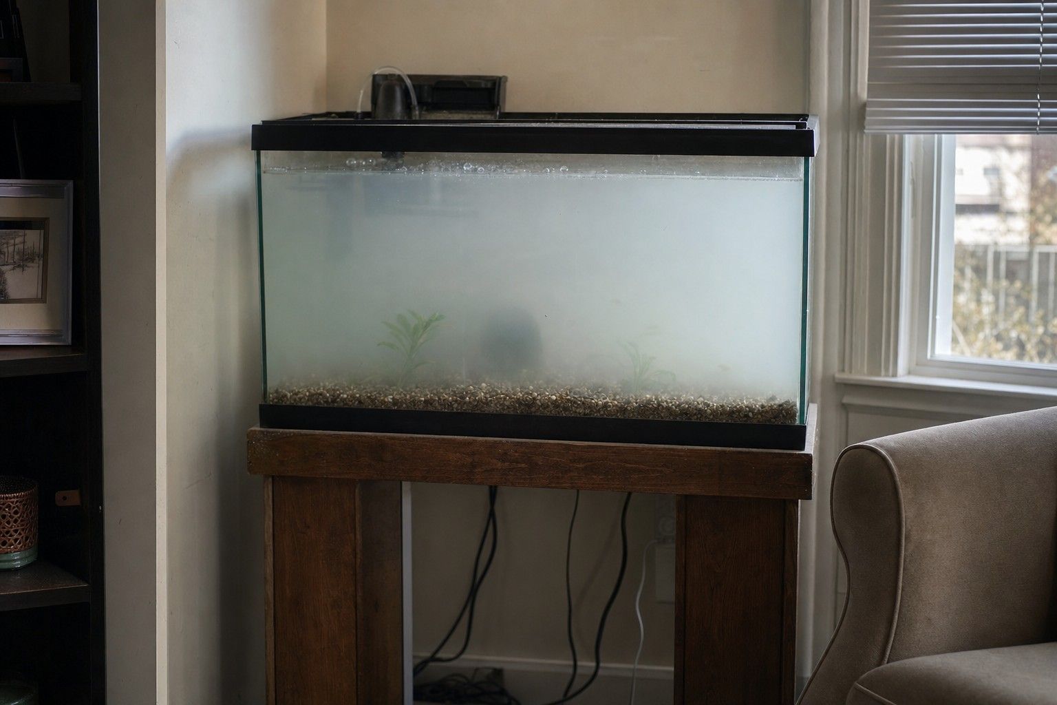 A home aquarium with visibly cloudy, milky-white water on a wooden stand in a daytime living room